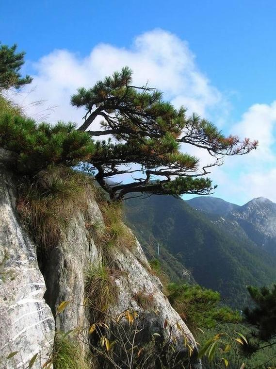 江西省宜春市旅游景点介绍