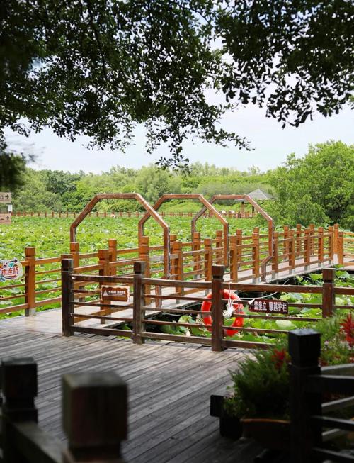 南沙湿地景区自驾游攻略