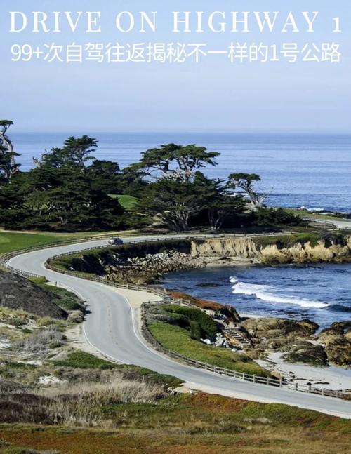 加州一号公路自驾游攻略