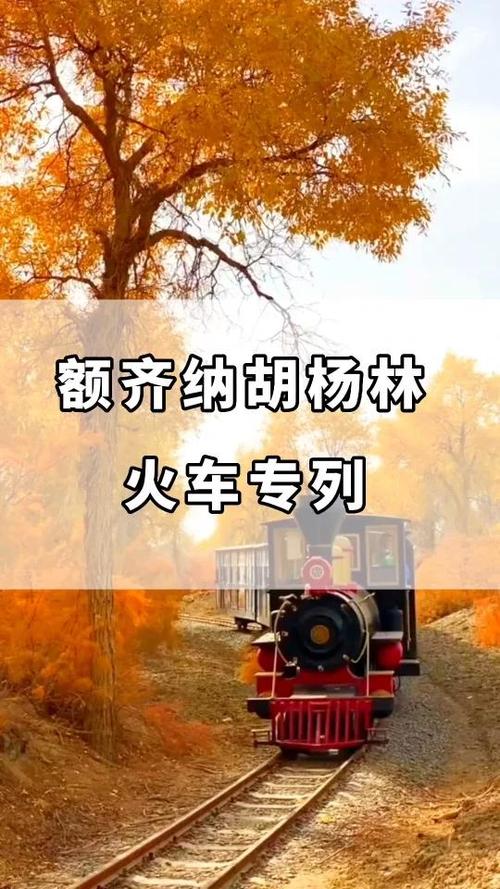 西安到胡杨林自驾游攻略