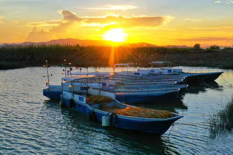 南海九江旅游景点哪里好玩