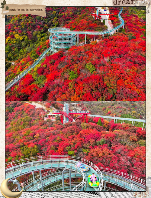 山东淄博市旅游景点有哪些