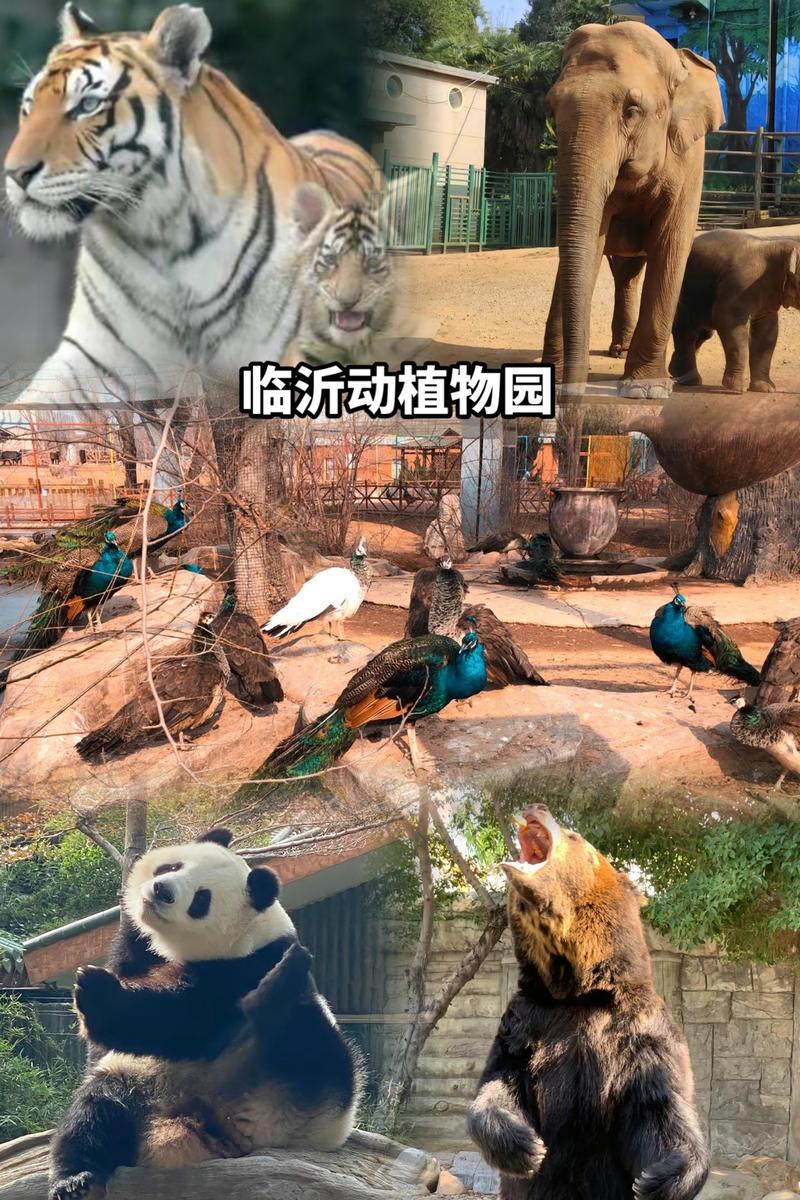 临沂动植物园自驾游团购
