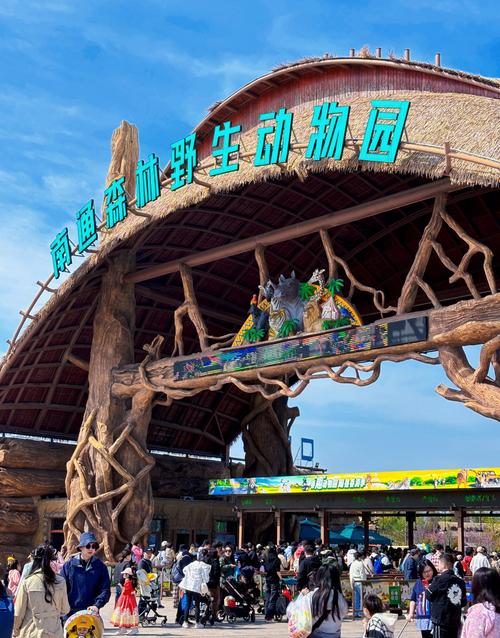 香江野生动物园 自驾游