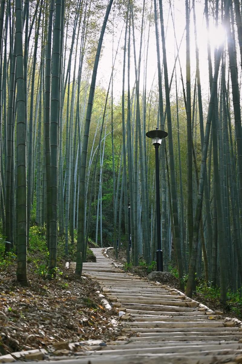 六安霍山有什么好玩的景点