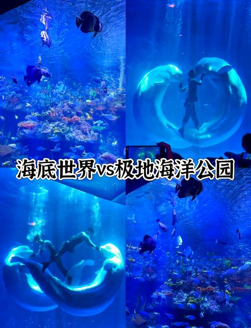青岛海底世界自驾游二日