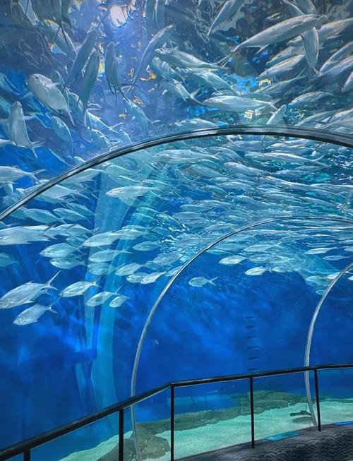 青岛海底世界自驾游二日