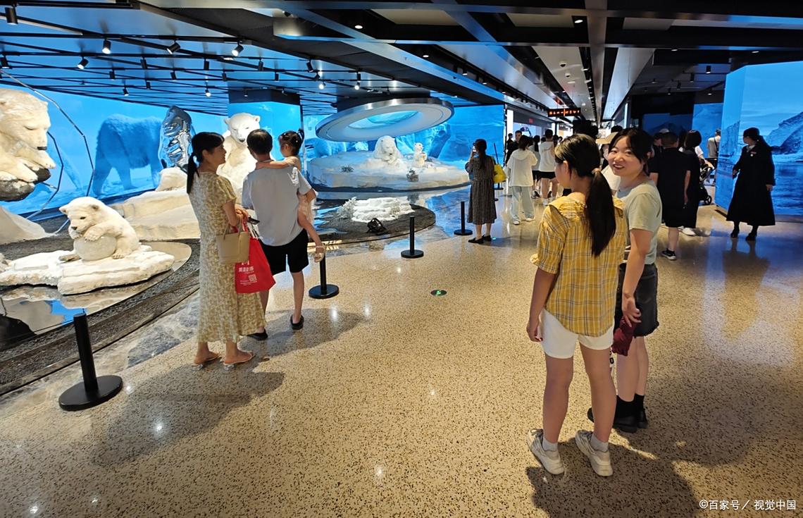 上海科技馆自驾游 团购