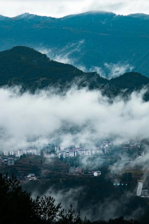 石柱黄水森林公园自驾游