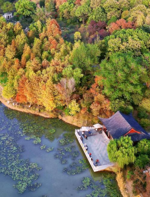 南京11月份旅游景点推荐