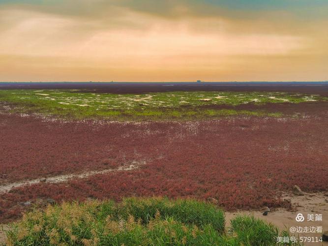 北京 红海滩自驾游攻略