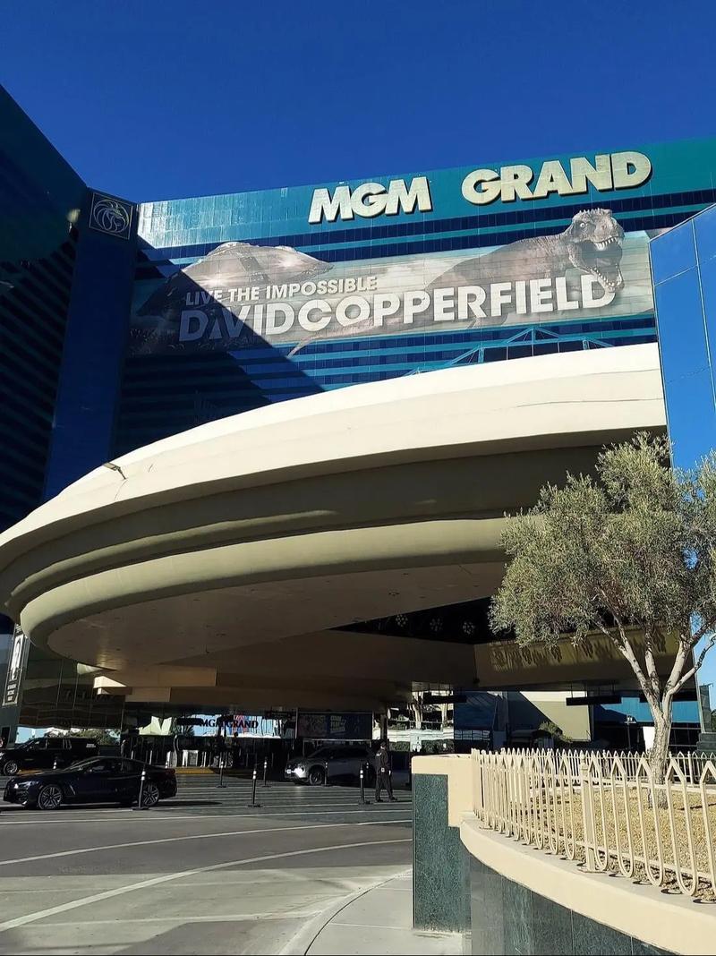 拉斯维加斯米高梅酒店