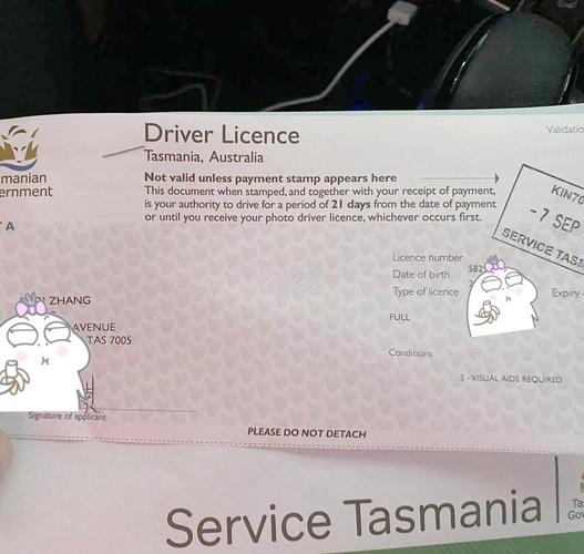 澳大利亚 自驾游 驾照