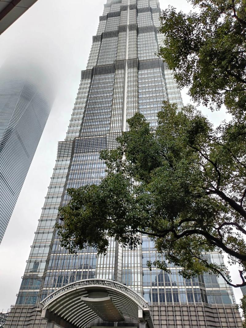 上海金茂大厦自驾游价格