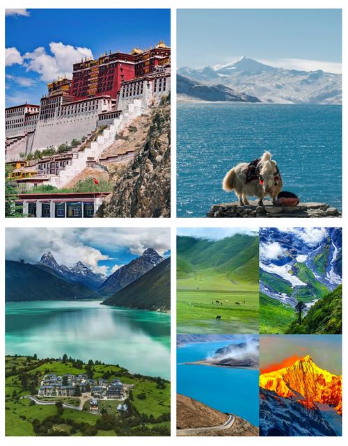 西藏有什么好玩的旅游景点