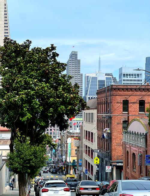 西雅图 旧金山 自驾游