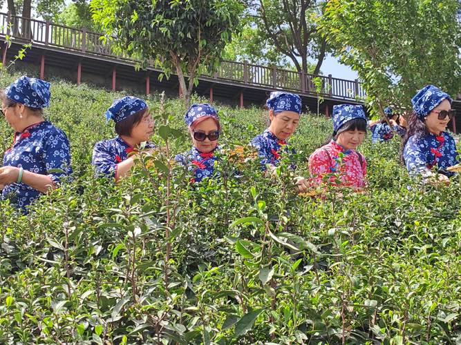 襄阳有哪些景点好玩的地方