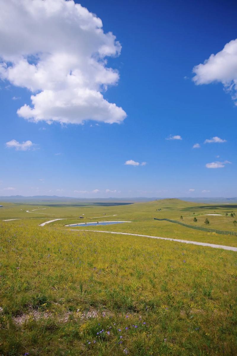 自驾游 呼伦贝尔大草原