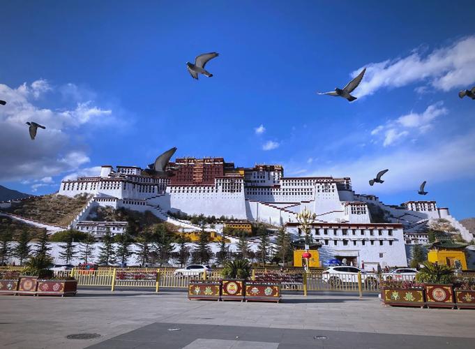 11月份去哪里自驾游好