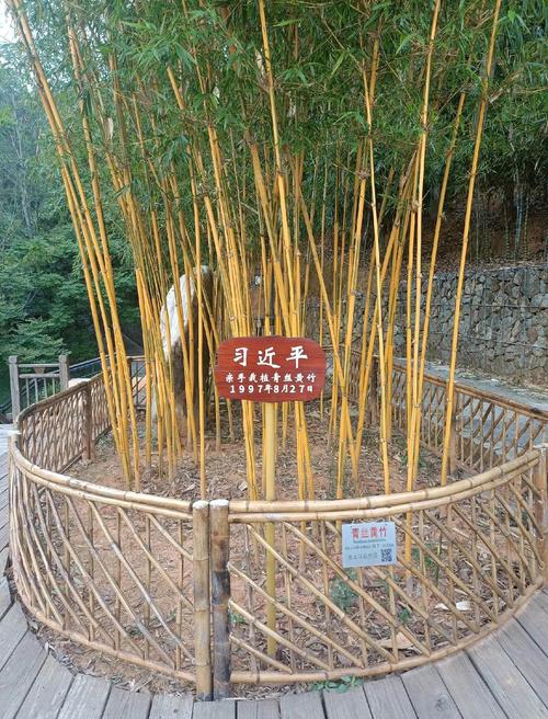 华安有什么好玩的旅游景点