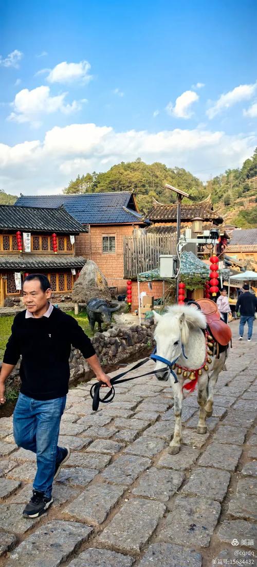 2025春节云南自驾游