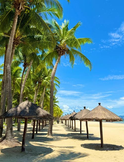 海南适合老年人游玩的景点