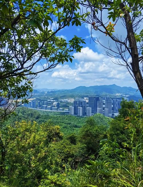 深圳适合老人去的旅游景点