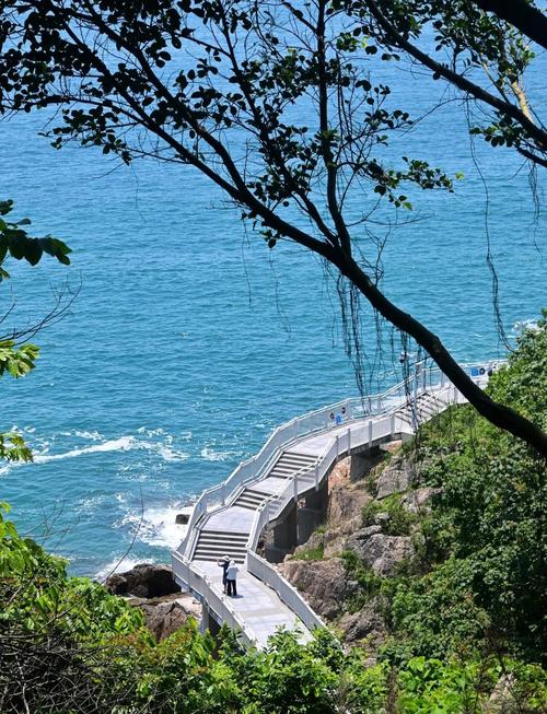 深圳适合老人去的旅游景点