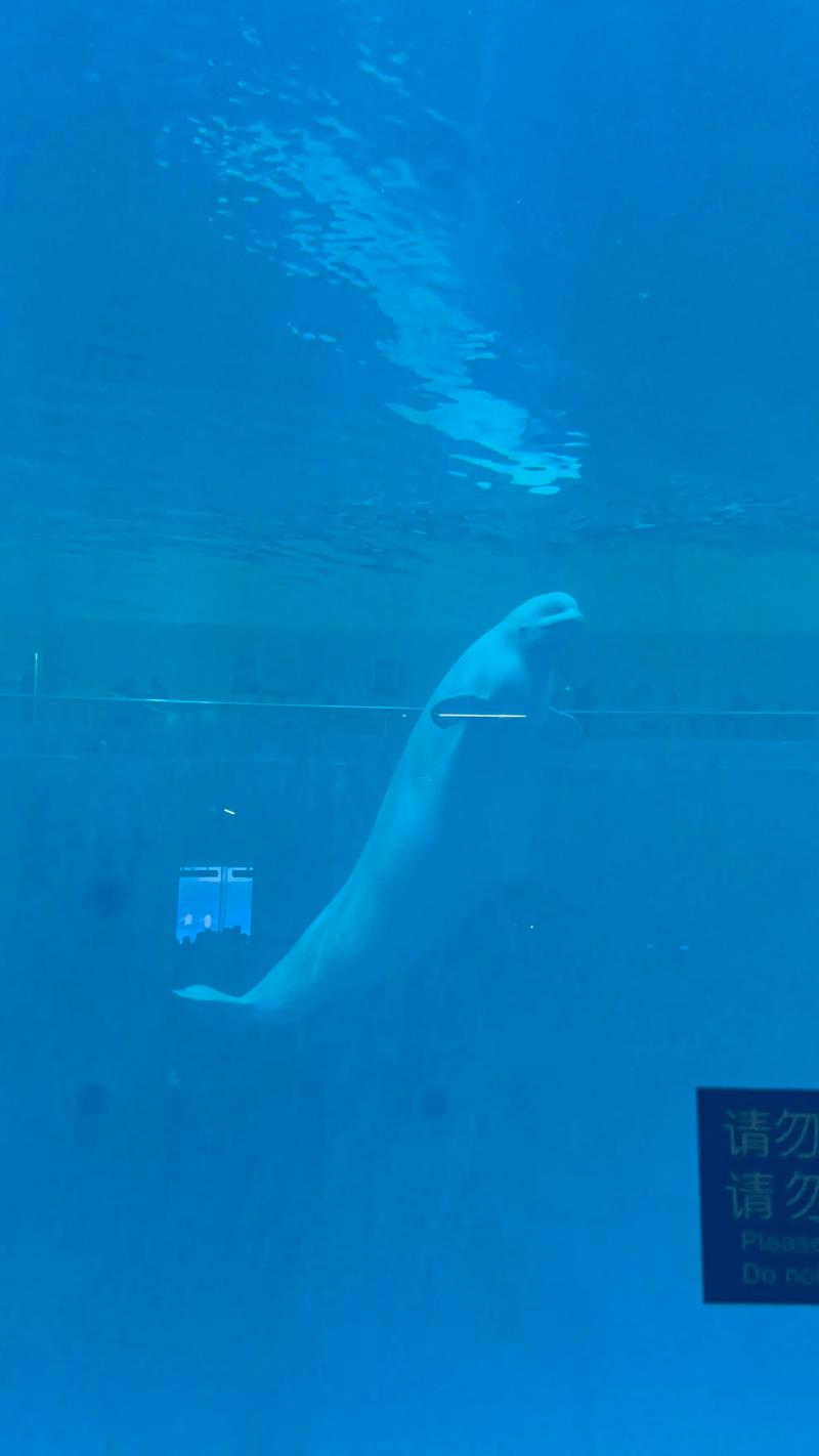 蓬莱海洋极地世界自驾游