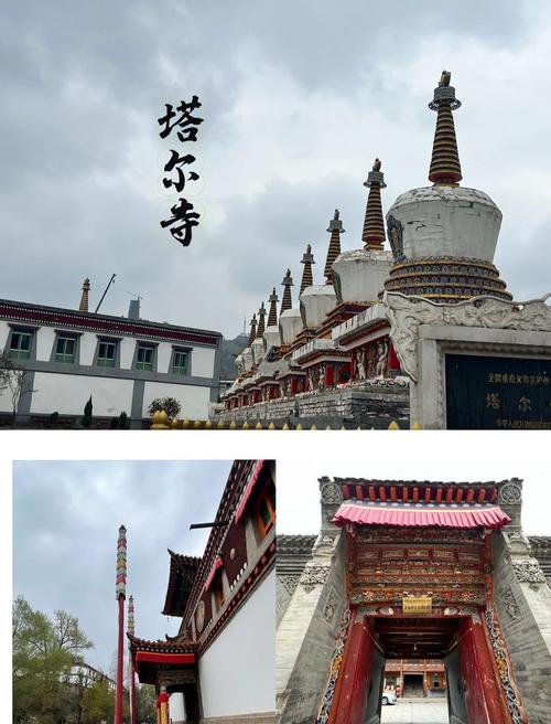 青海西宁旅游景点大全排名