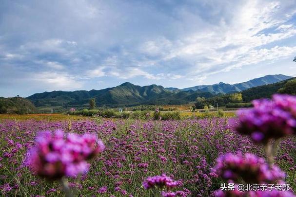 2025北京周边自驾游