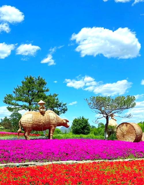 延庆旅游景点大全那里吃住