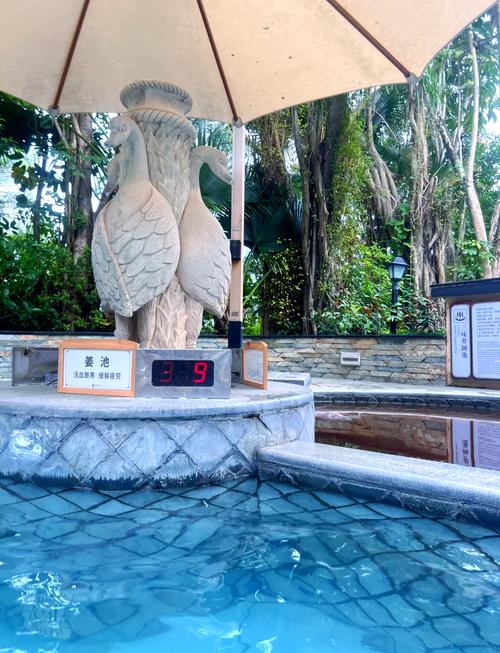 碧水湾温泉度假村自驾游