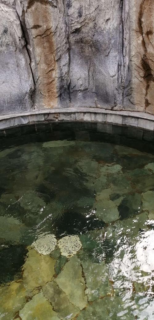 大连老铁山温泉 自驾游