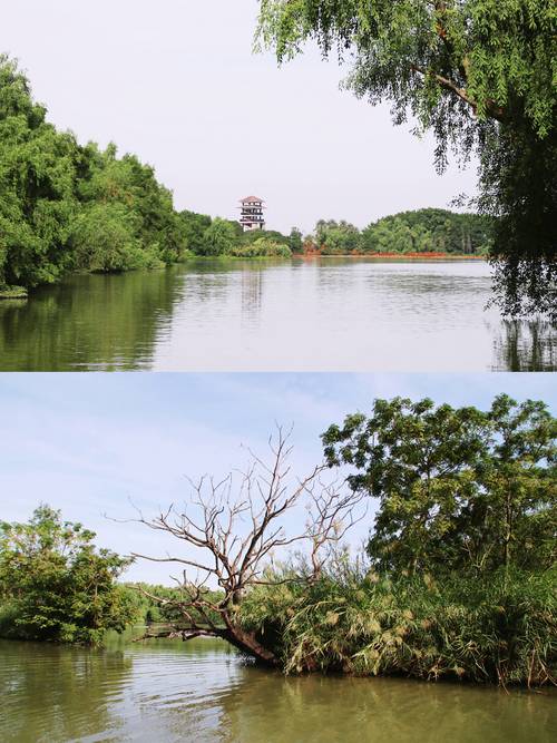 南沙湿地景区旅游景点推荐
