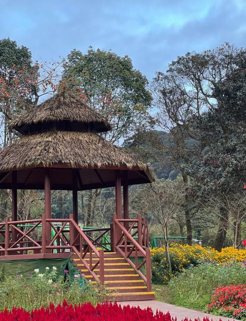 石门国家森林公园自驾游