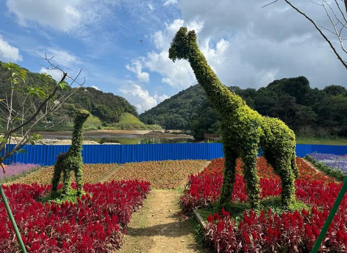 石门国家森林公园自驾游