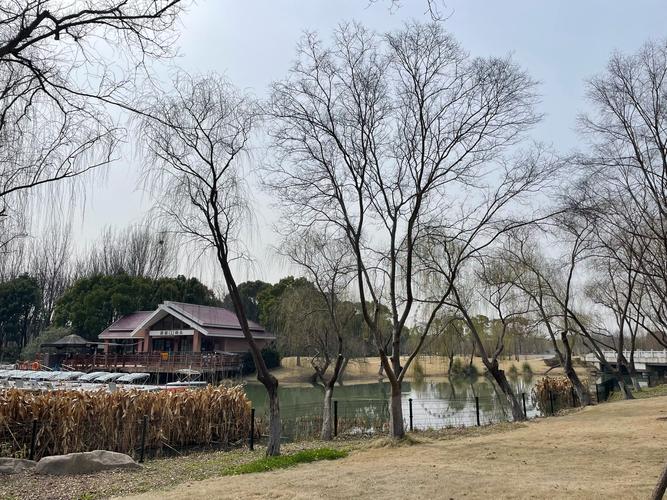 上海宝山顾村公园自驾游