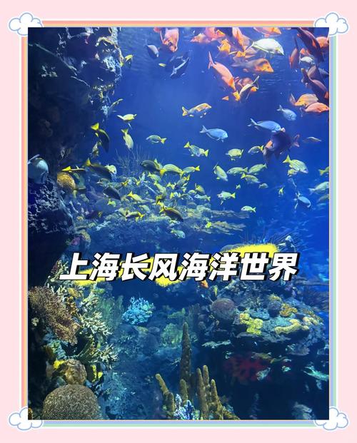 上海长风海洋世界自驾游
