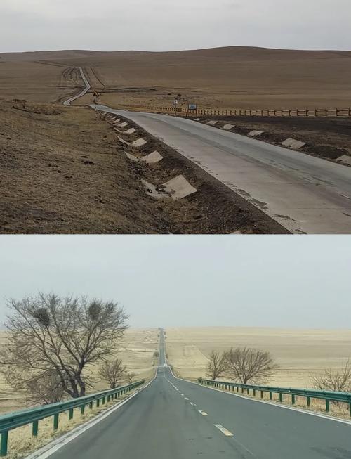 呼伦贝尔 沈阳 自驾游