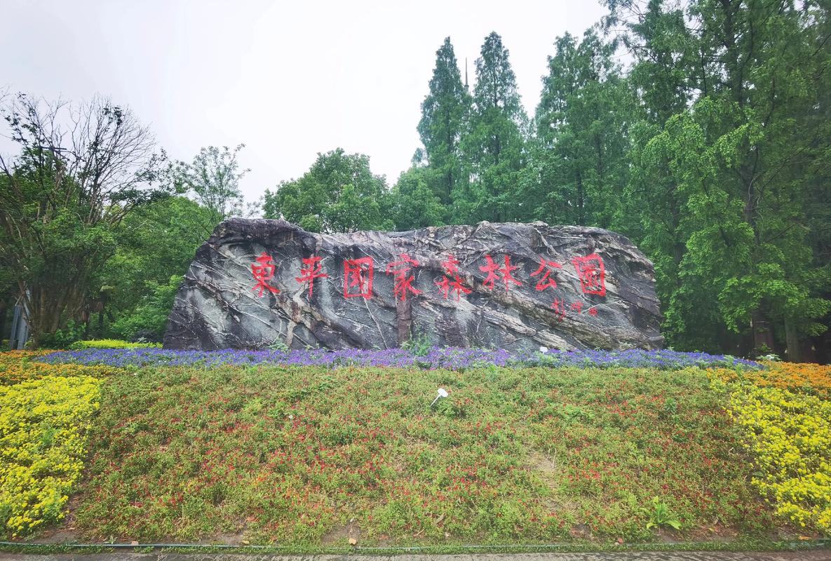 东平国家森林公园自驾游