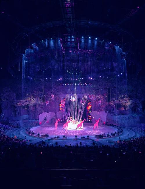 长隆国际大马戏 自驾游