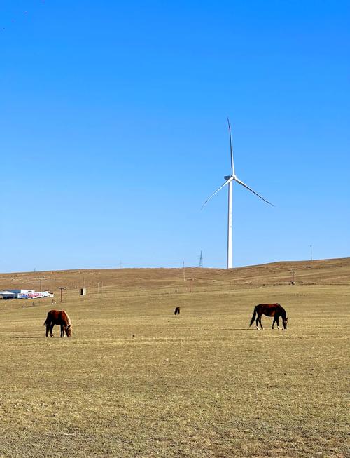 希拉穆仁草原自驾游攻略