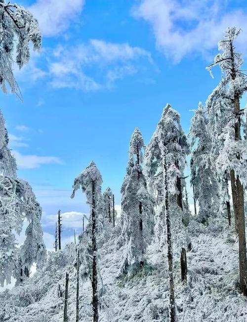 冬季湖南旅游攻略景点必去