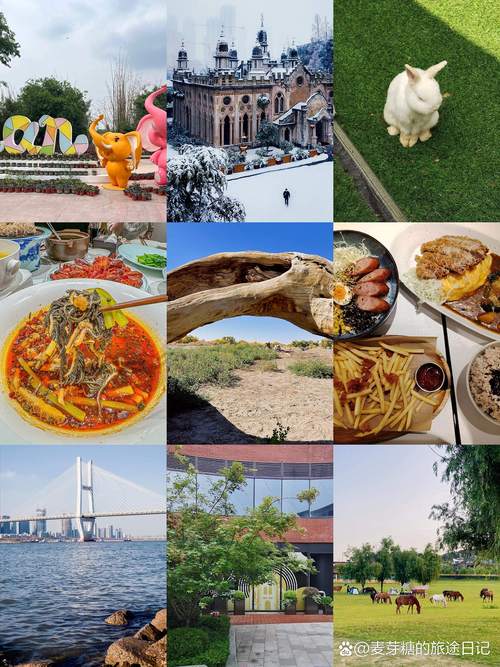 武汉年卡2025景点景区