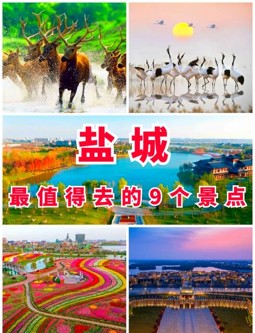 盐城的旅游景点有哪些地方