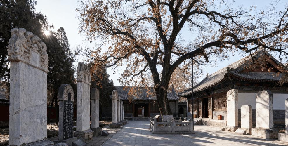 南京到西安自驾游沿途景点