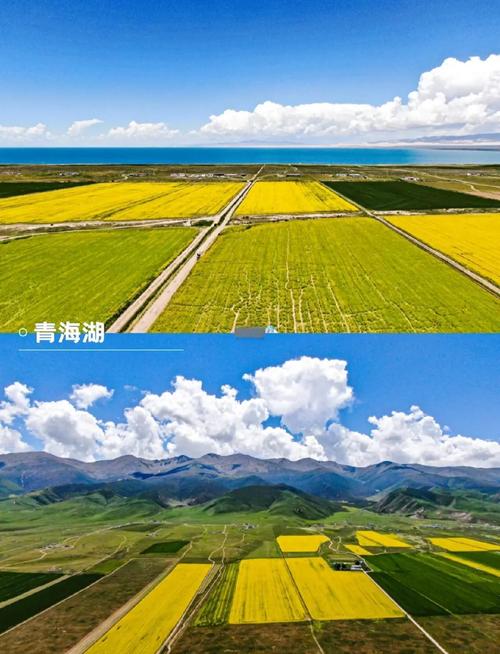 成都至青海湖自驾游攻略