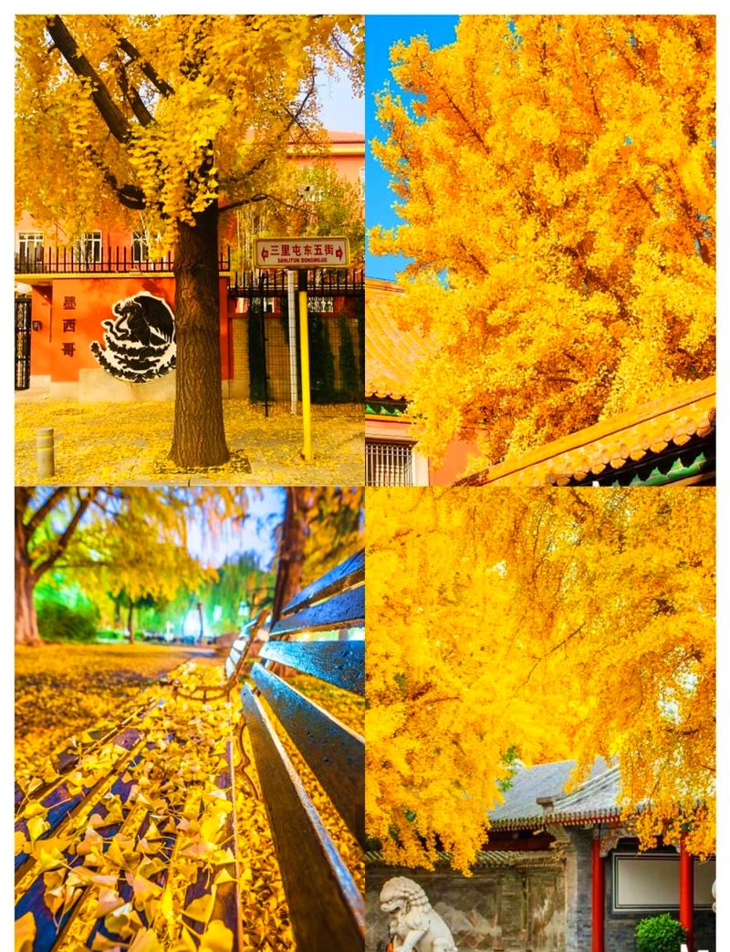 秋天北京旅游攻略必去景点