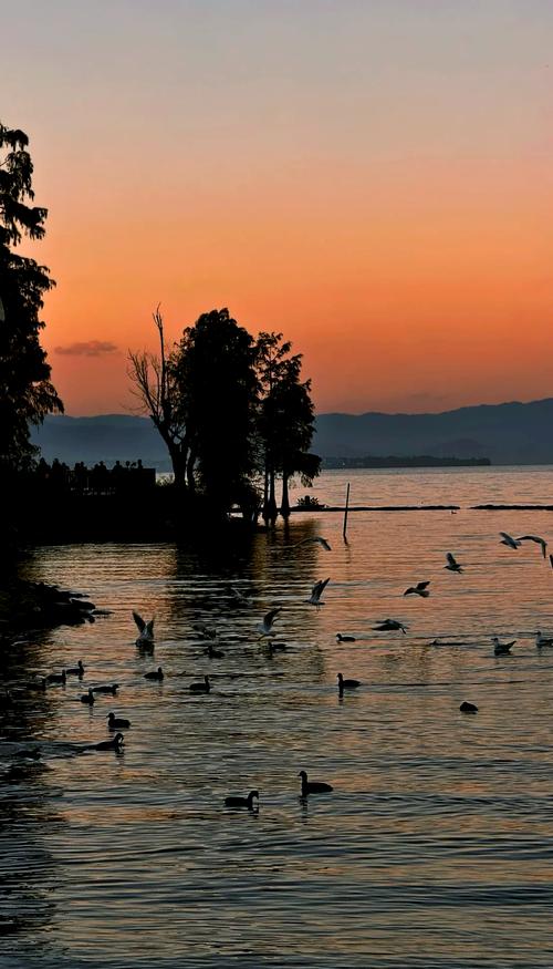 大理洱海旅游攻略必去景点